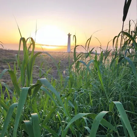 Book Jet - Ninomar Heart アパート